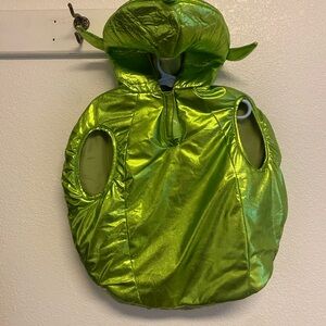 Zara Shiny Green Kids Costume